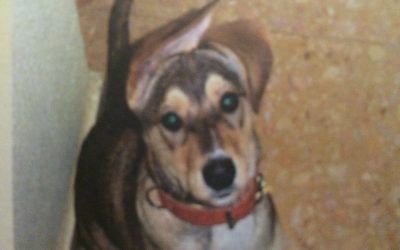 Malú, la loca de la casa. El perro de la alegría.
