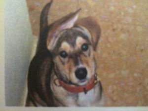alt="Anécdotas de un currante, historia de mis cuatro perros"
