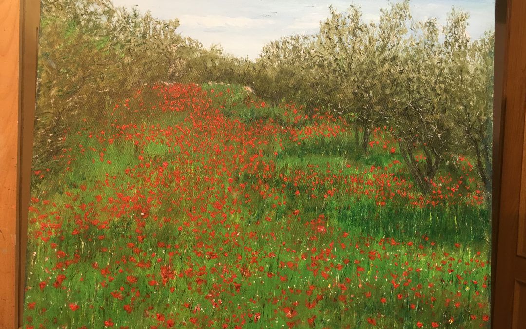 Las amapolas, vida de la primavera.
