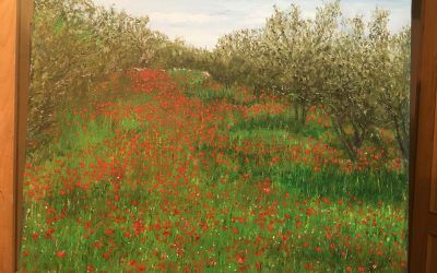 Las amapolas, vida de la primavera.