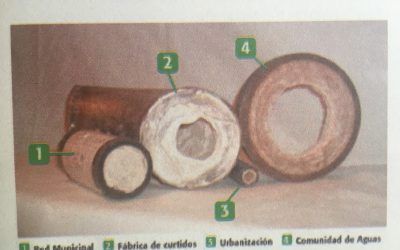 El desincrustador de cal, la solución definitiva.