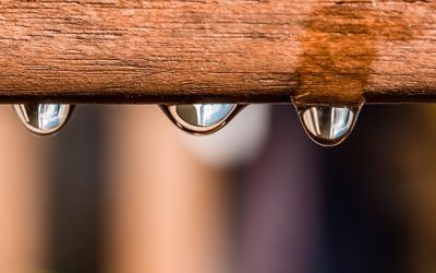 Consejos para el mantenimiento de una instalación de riego por goteo.Por Rafael Acosta