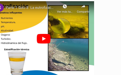 PRESENTACIÓN DE SOLUCIONES A LOS SULFUROS, OXIGENACIÓN, BACTERIAS PARA EL AGUA