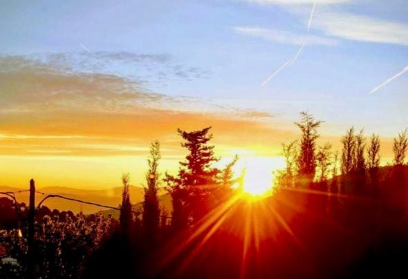 Paisaje de sol